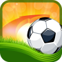 icon Pro Cup Soccer (Football)