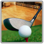 icon Golf Tournament 3D