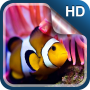 icon Aquarium Live Wallpaper HD