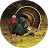icon Turkey bird Sounds 1.6