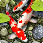icon Koi Fish HD Wallpaper