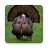icon Turkey bird sounds 2.17