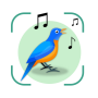 icon Bird Song ID