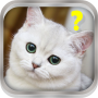 icon Cat Assistant