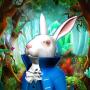 icon My Wonderland
