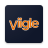icon Viigle 6.71