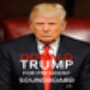 icon Donald Trump SB 