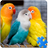 icon Birds Jigsaw Puzzle + LWP 1.0