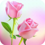 icon Rose Animated Images Gifs - Bunga Berwarna-warni HD 4K
