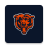 icon Bears 4.1.2