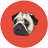 icon pug life 1.0