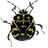 icon Beetle Brave free 0.3.3