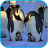 icon Penguins Video Live Wallpaper 3.0