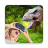 icon VR Videos 1.0.7