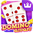 icon Domino 99 2.0.1.0