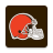 icon Browns 6.7.7