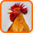 icon Laughing Chickens 1.1.2