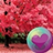 icon Pretty Pink Color HD Wallpapers 1.13.8