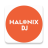 icon Halonix DJ Speaker 5.1.9