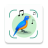 icon Bird Song ID 1.2.0