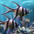 icon The real aquariumfree 2.32