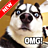 icon Funny Dog Pictures 2.0