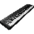 icon Electric Piano 2.3