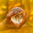 icon Sacred forestPsychic 1.0.0