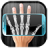 icon X-Ray Scanner 1.1.2