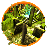 icon The Maze Runner 1.7.1