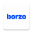 icon Borzo 1.110.1
